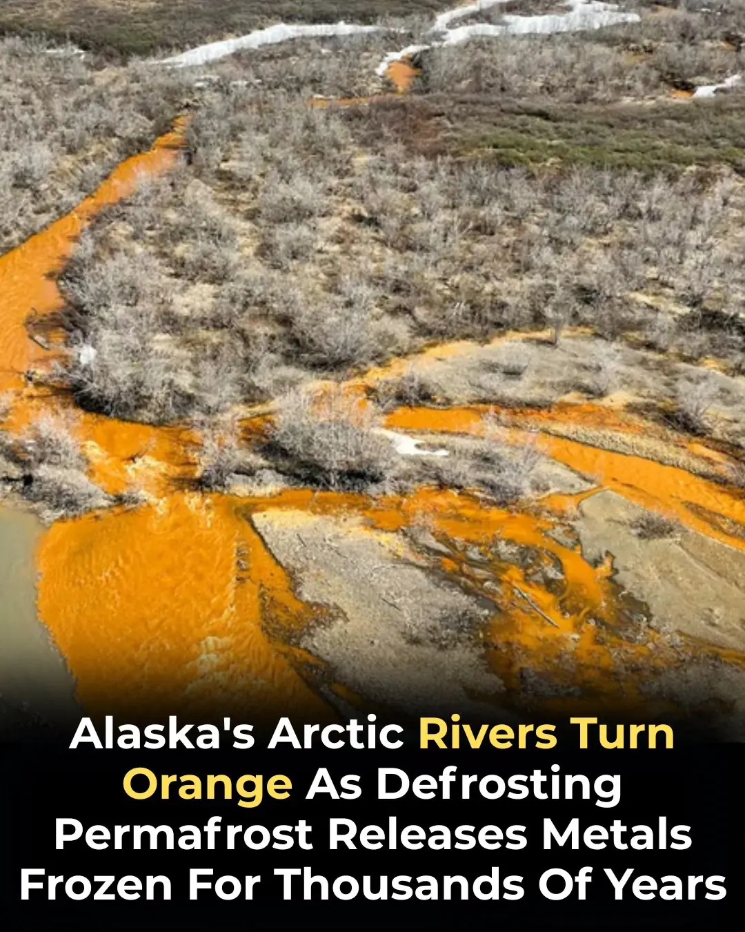 Alaska’s Rivers Turning Orange: A Warning Sign of Arctic Change