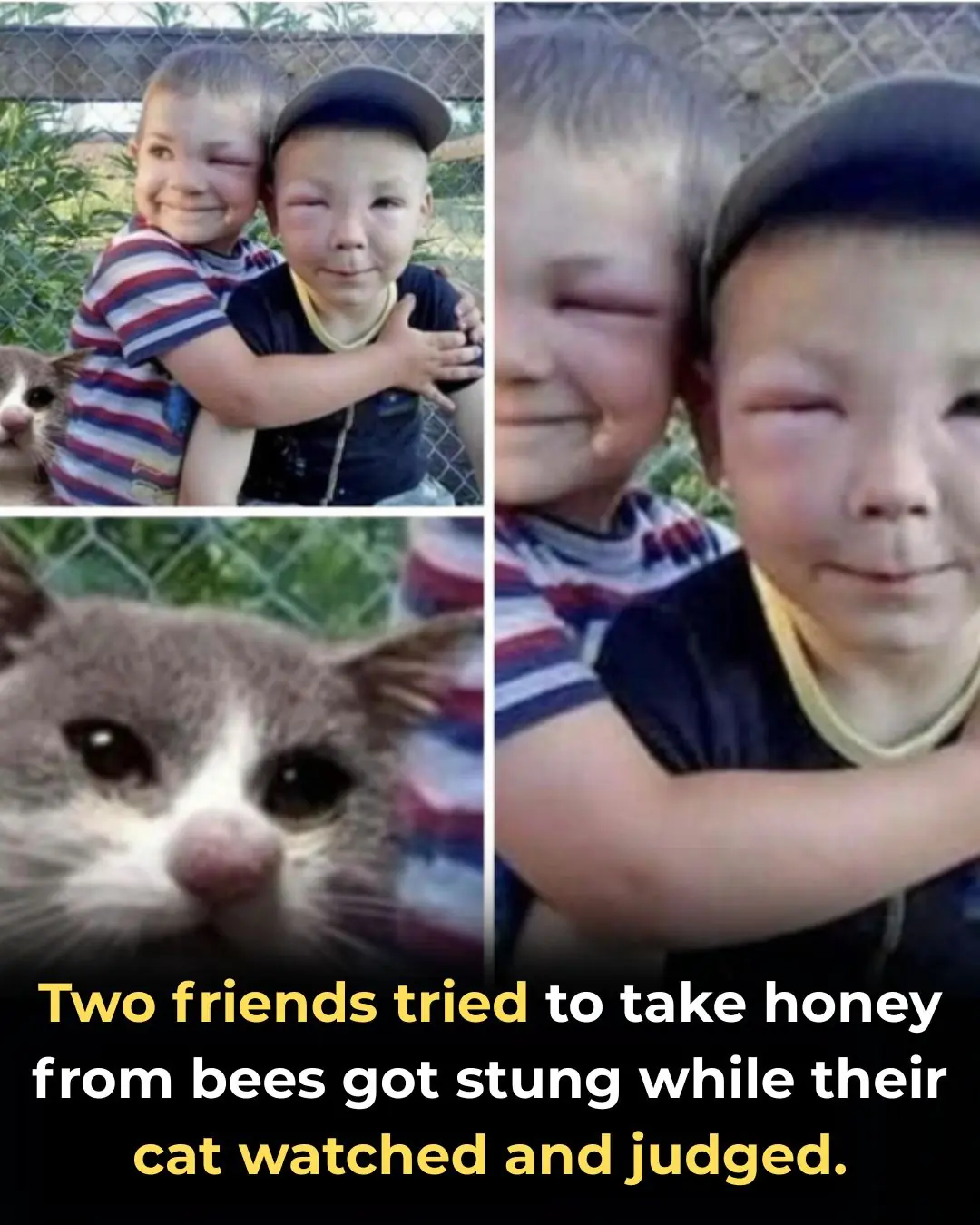 Three Friends, One Hive, and a Very Bad Idea