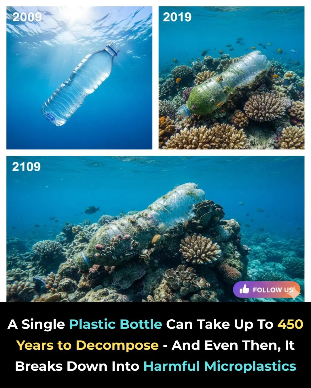 One Plastic Bottle. One Huge Problem. 🌍♻️