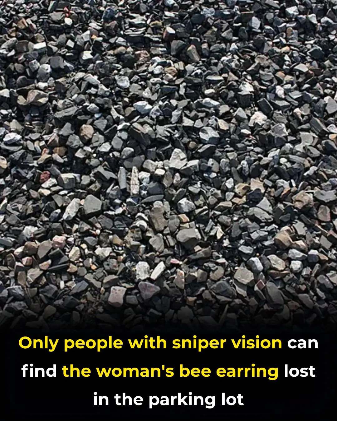 Can You Spot It? The Viral “Sniper Vision” Challenge That’s Testing Human Perception