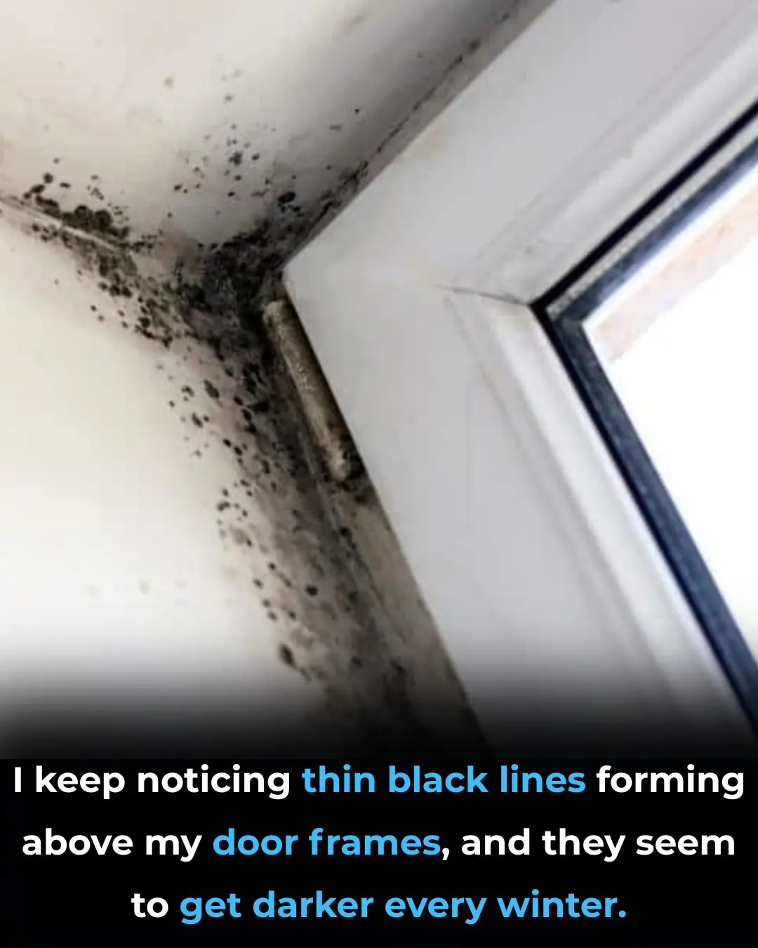 I keep noticing thin black lines forming above my door frames, and they seem to get darker every winter. What can I do to fix?