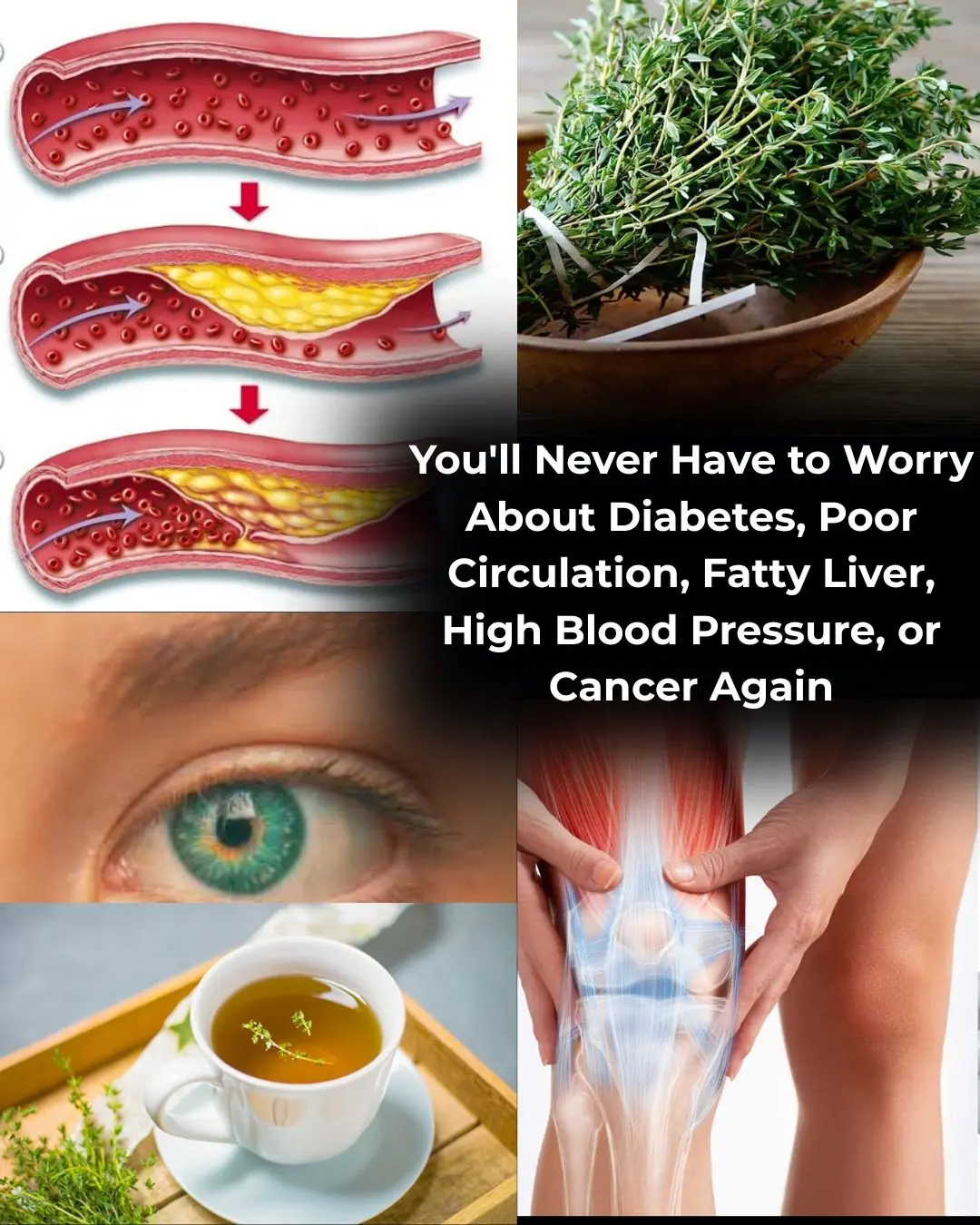 The Herb That Could Transform Your Health Naturally