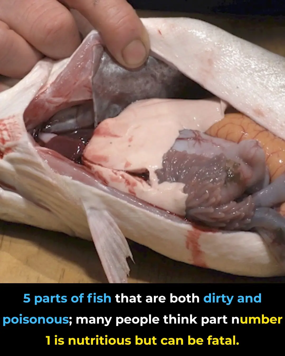 Five Parts of Fish That Are Dirty and Potentially Toxic — The First One Is Often Mistaken as Healthy but Can Be Fatal