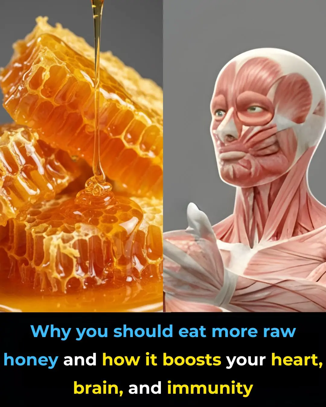 Evidence-Based Health Benefits of Honey (Raw, Pure, Natural) + Turmeric Golden Honey Recipe