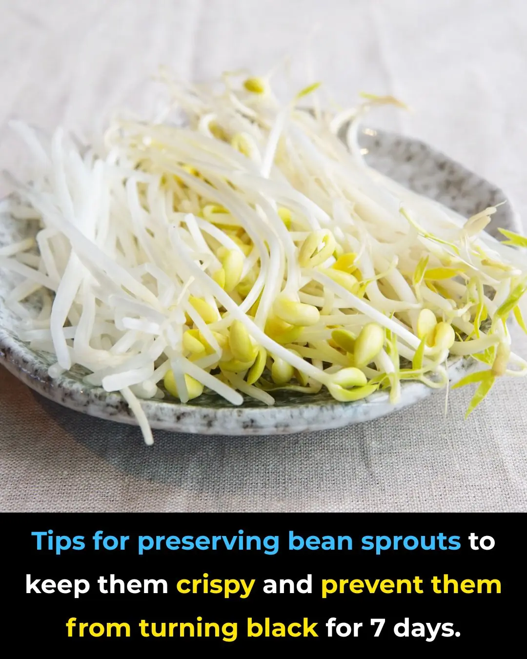 Tips for preserving bean sprouts to keep them crispy and prevent them from turning black for 7 days.