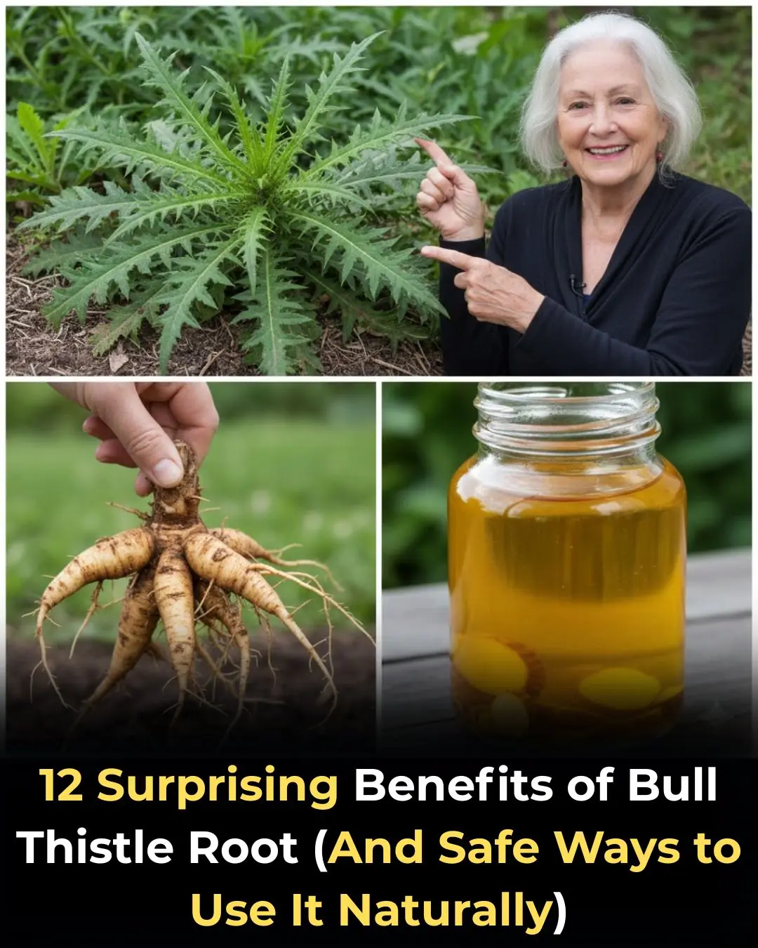12 Surprising Benefits of Bull Thistle Root (And Safe Ways to Use It Naturally)