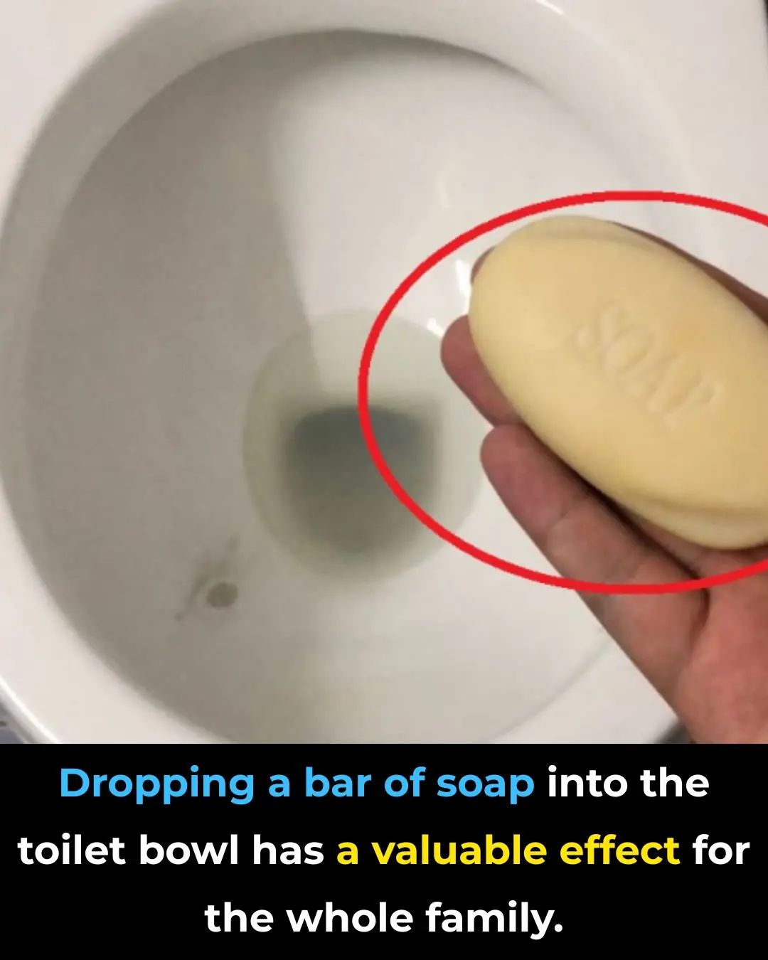 Drop a Bar of Soap Into the Toilet: A Simple Trick With Surprising Benefits for the Whole Family