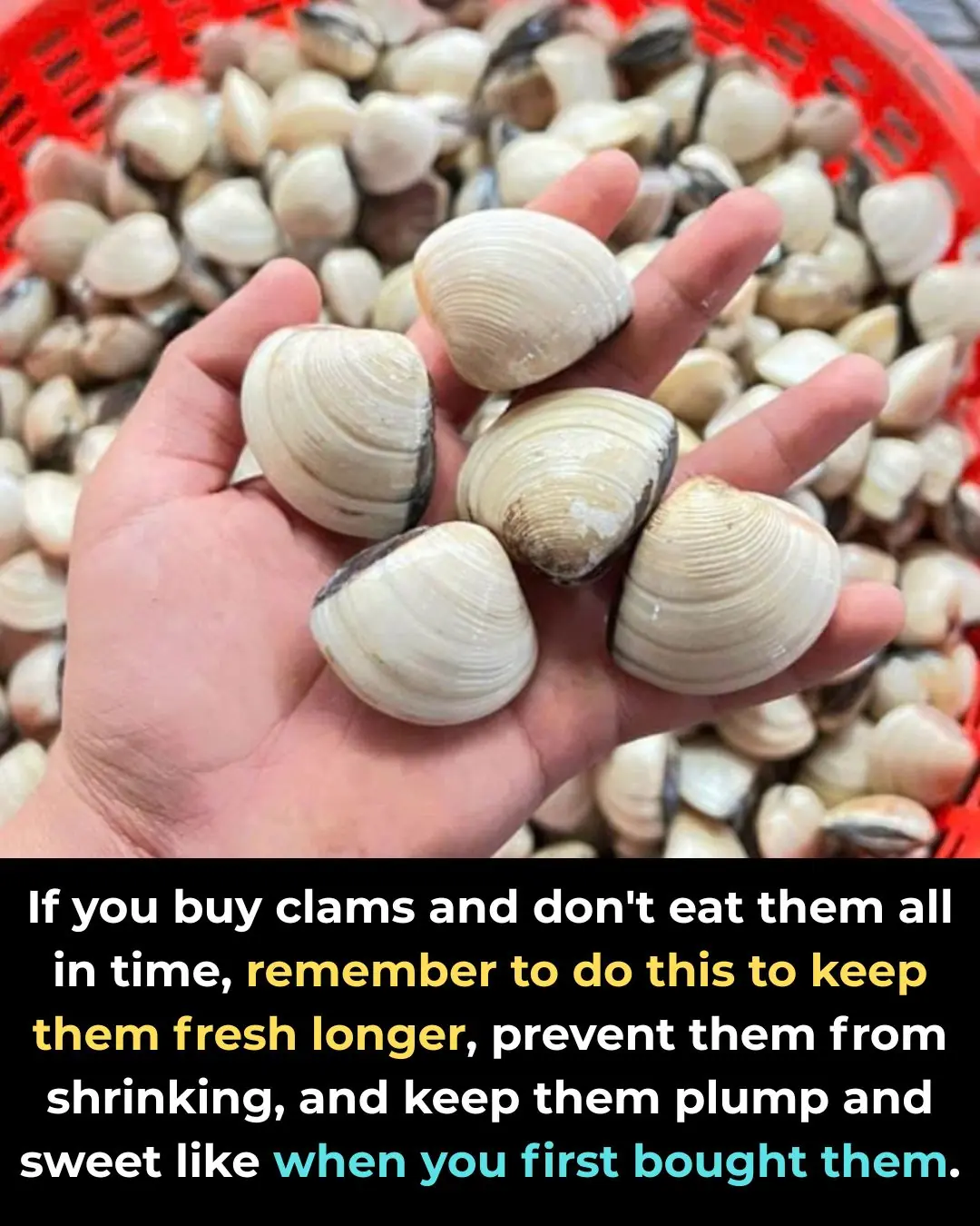 If you buy clams and don't eat them all in time, remember to do this to keep them fresh longer, prevent them from shrinking, and keep them plump and sweet like when you first bought them.