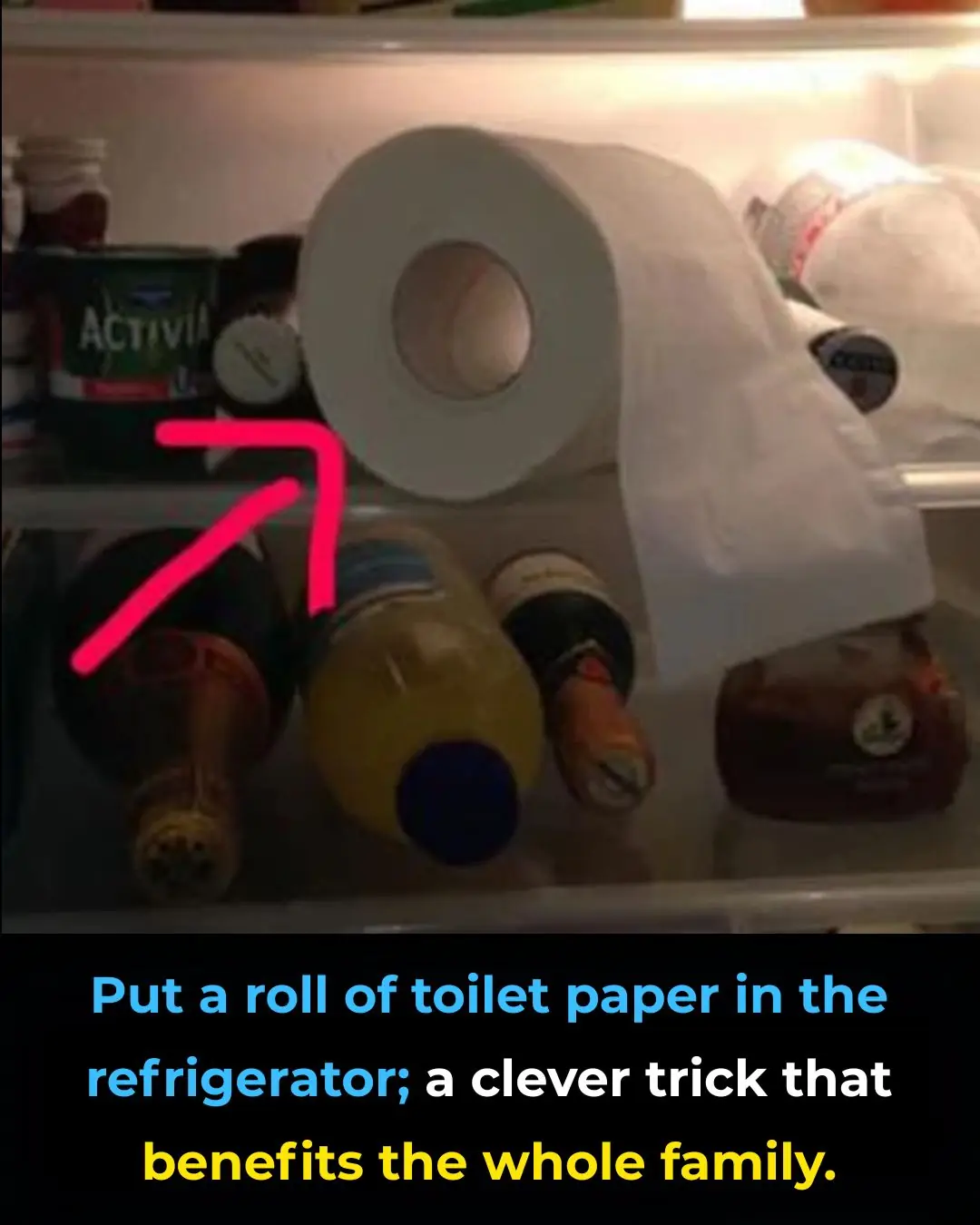 Put a Roll of Toilet Paper in the Refrigerator: A Simple Household Trick With Big Benefits