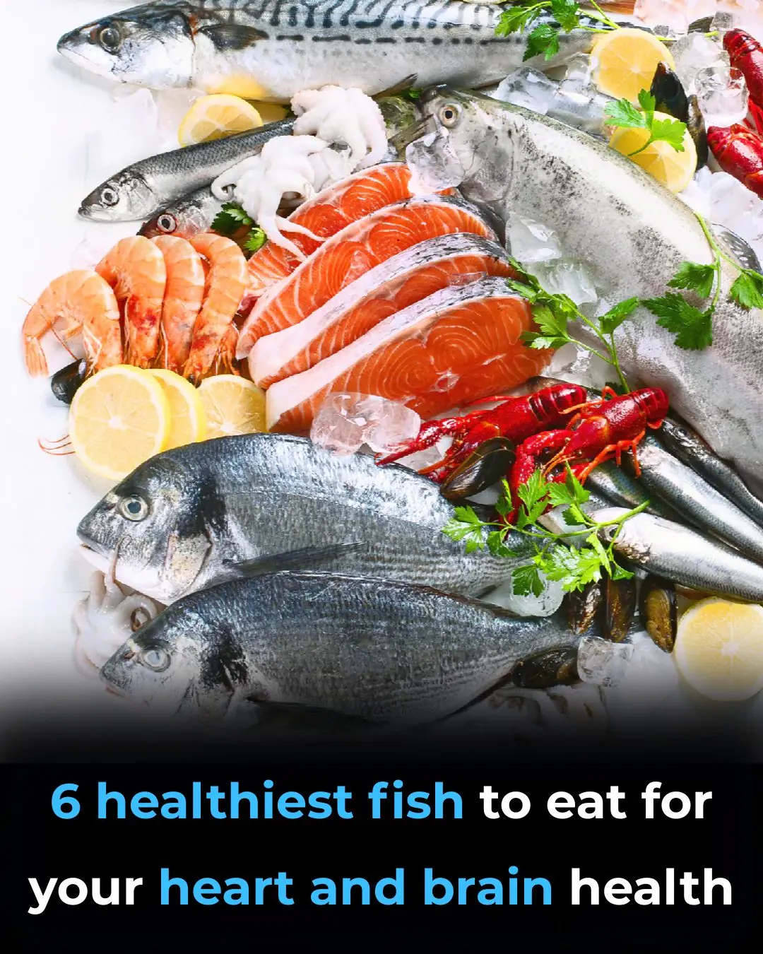 6 Healthiest Fish to Eat for Your Heart and Brain Health