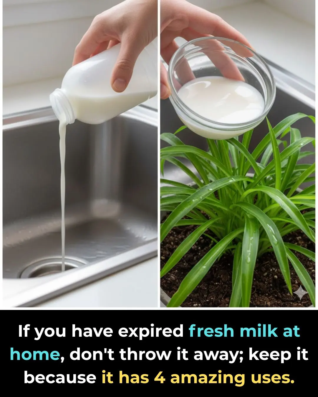 If you have expired fresh milk at home, don't throw it away; keep it because it has 4 amazing uses.