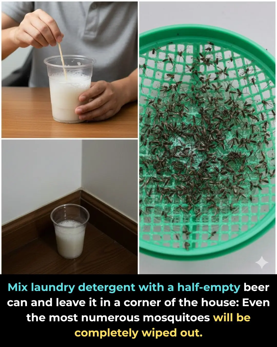 Mix laundry detergent with a half-empty beer can and leave it in a corner of the house: Even the most numerous mosquitoes will be completely wiped out.