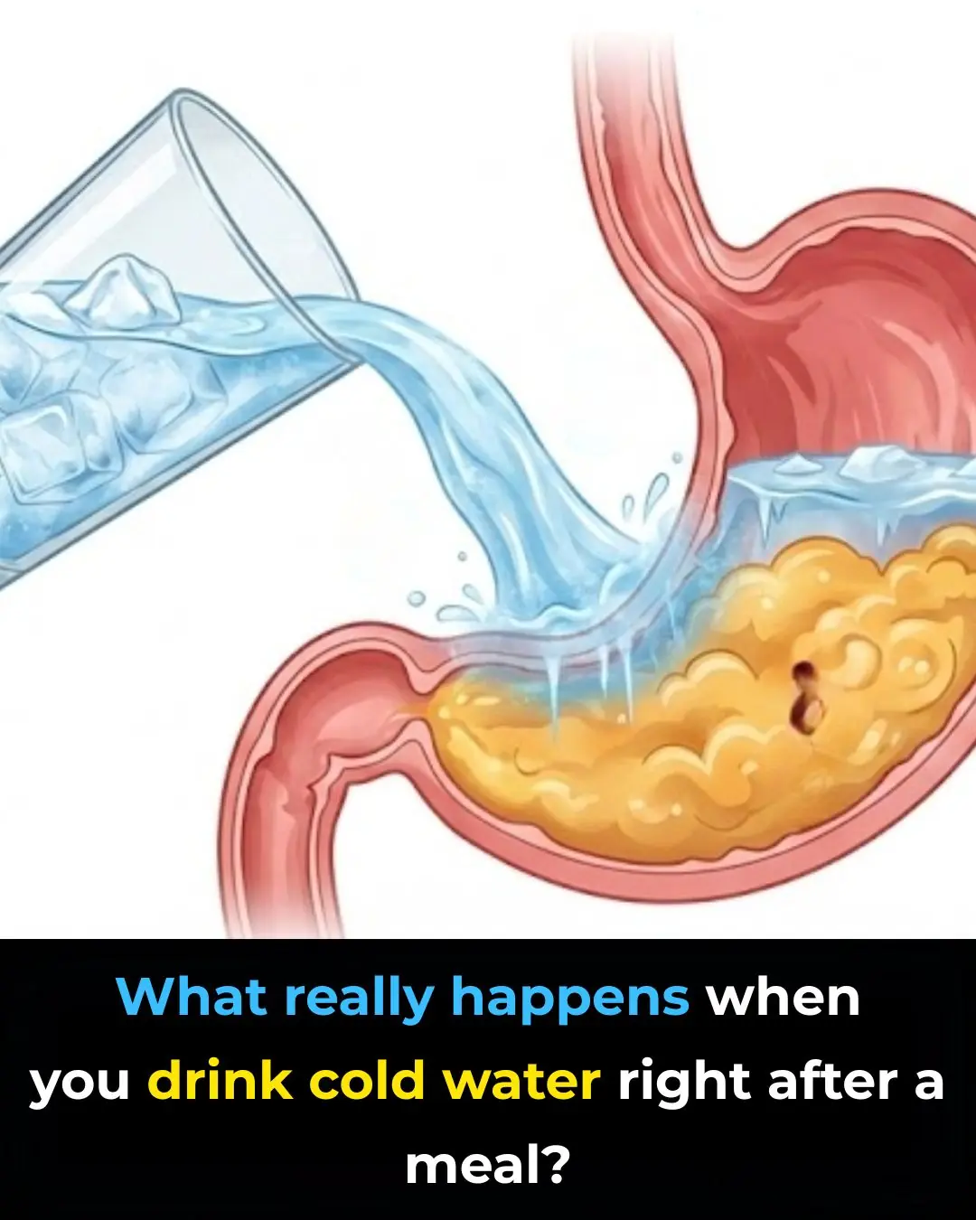 Cold Water Right After a Meal
