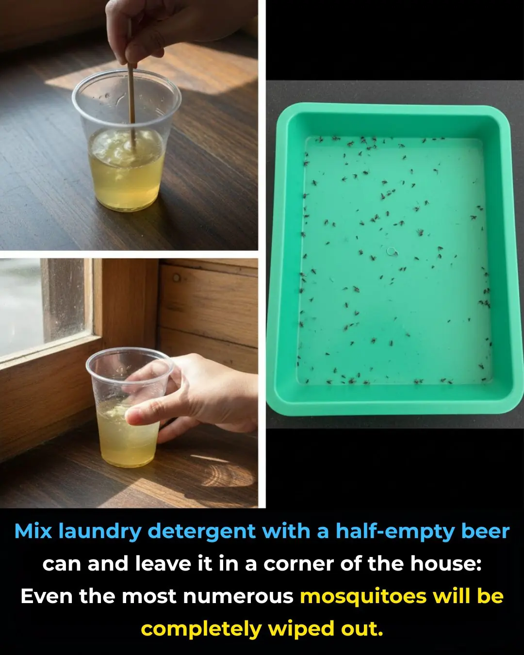 Mix laundry detergent with a half-empty beer can and leave it in a corner of the house: Even the most numerous mosquitoes will be completely wiped out