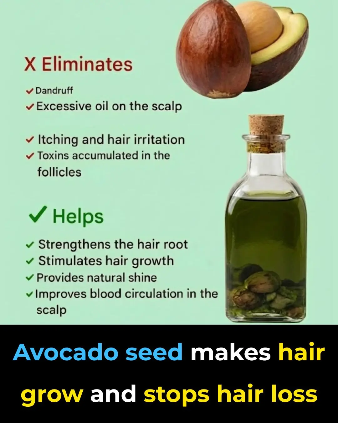 Did You Know Avocado Seeds Can Benefit Your Hair