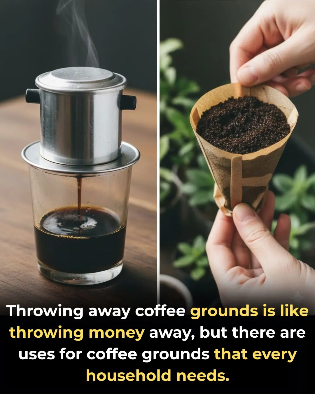 Throwing away coffee grounds is like throwing money away, but there are uses for coffee grounds that every household needs.