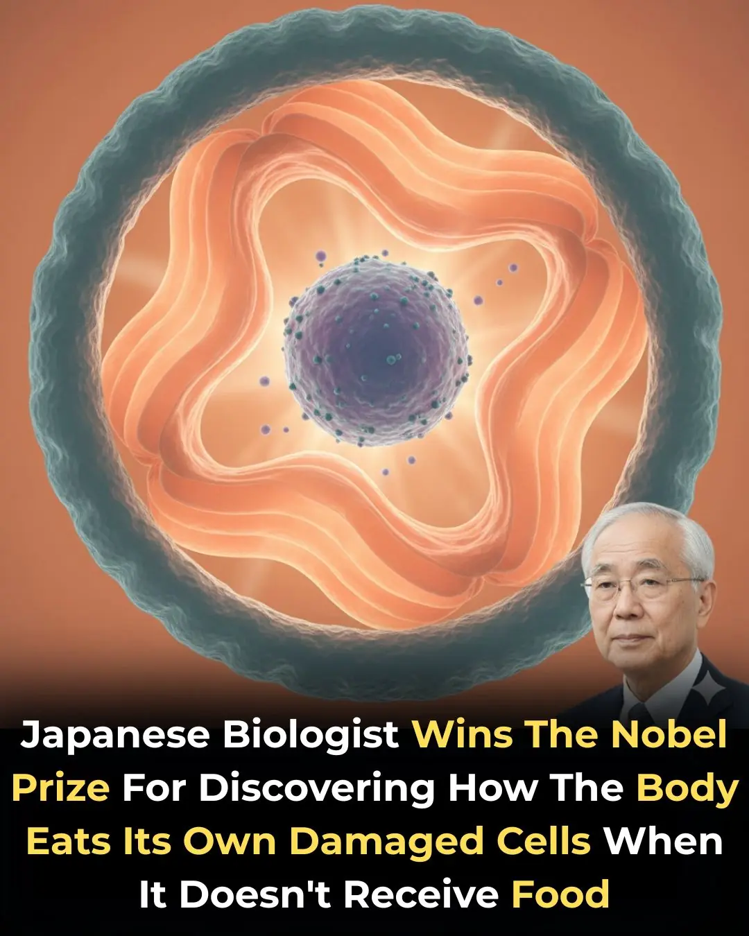 The Science of Self-Eating: How Autophagy Unlocks Cellular Longevity