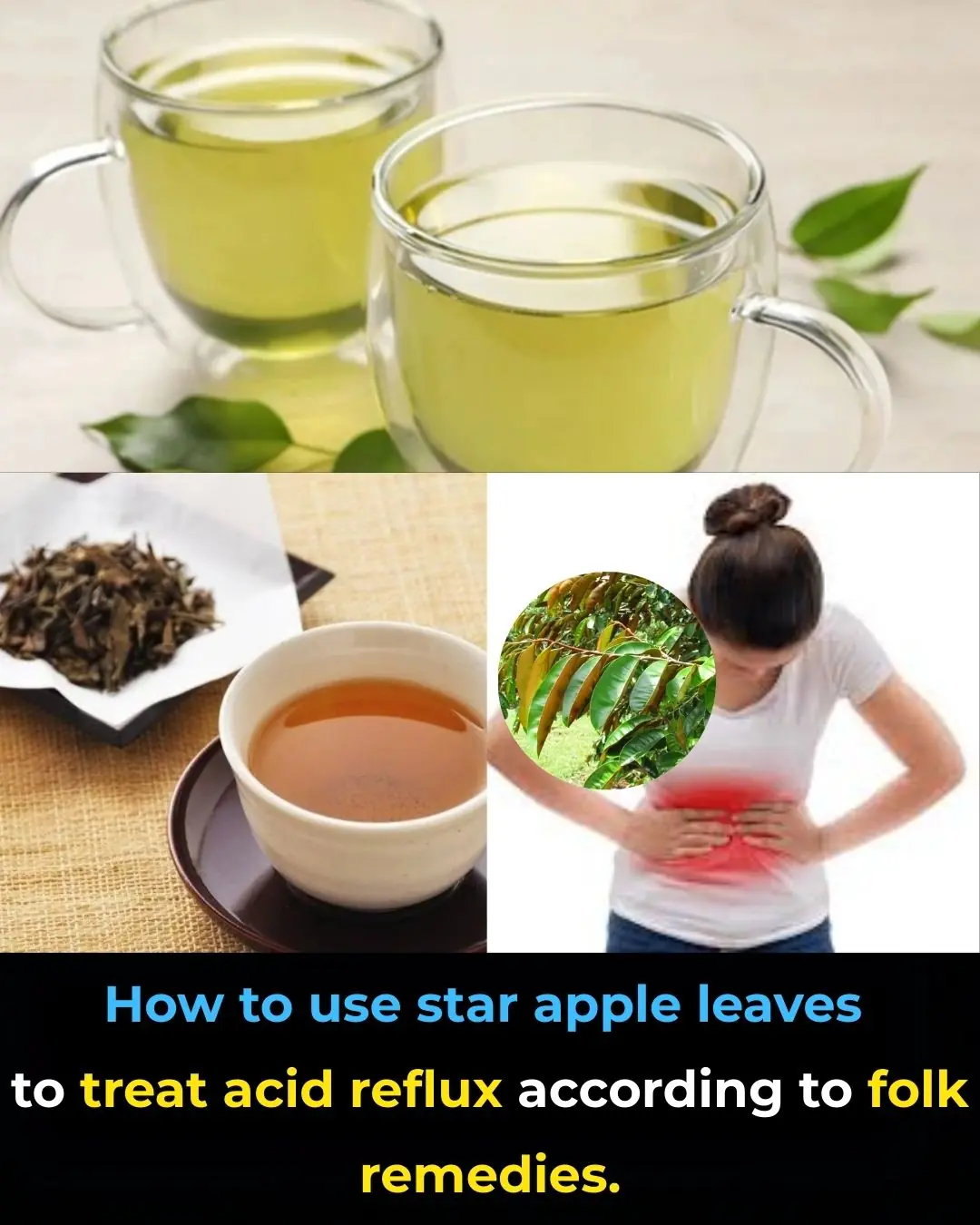 Using Star Apple Leaves to Treat Acid Reflux: A Traditional Remedy