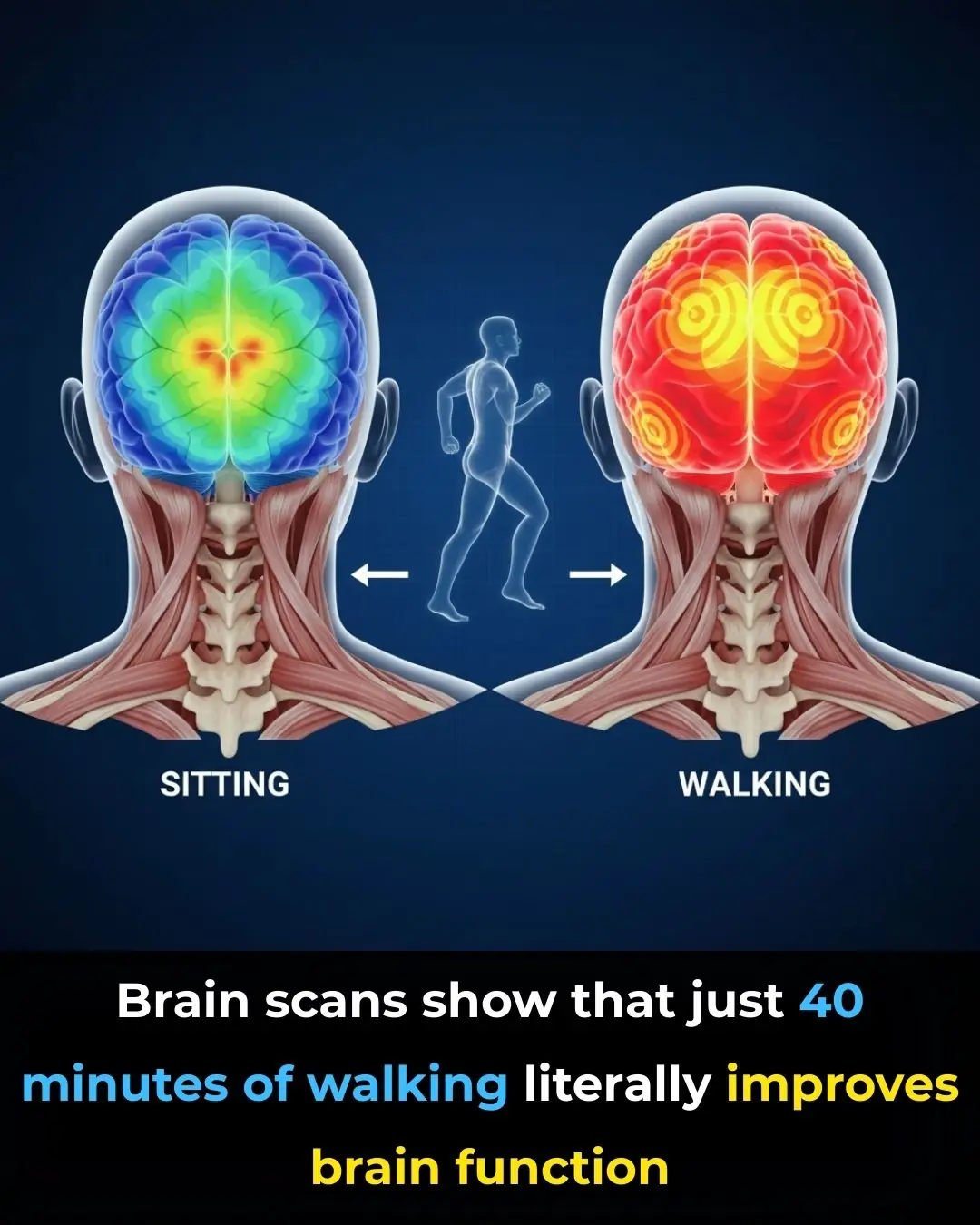 Your Brain on Walking: Why Movement Sparks Mental Clarity