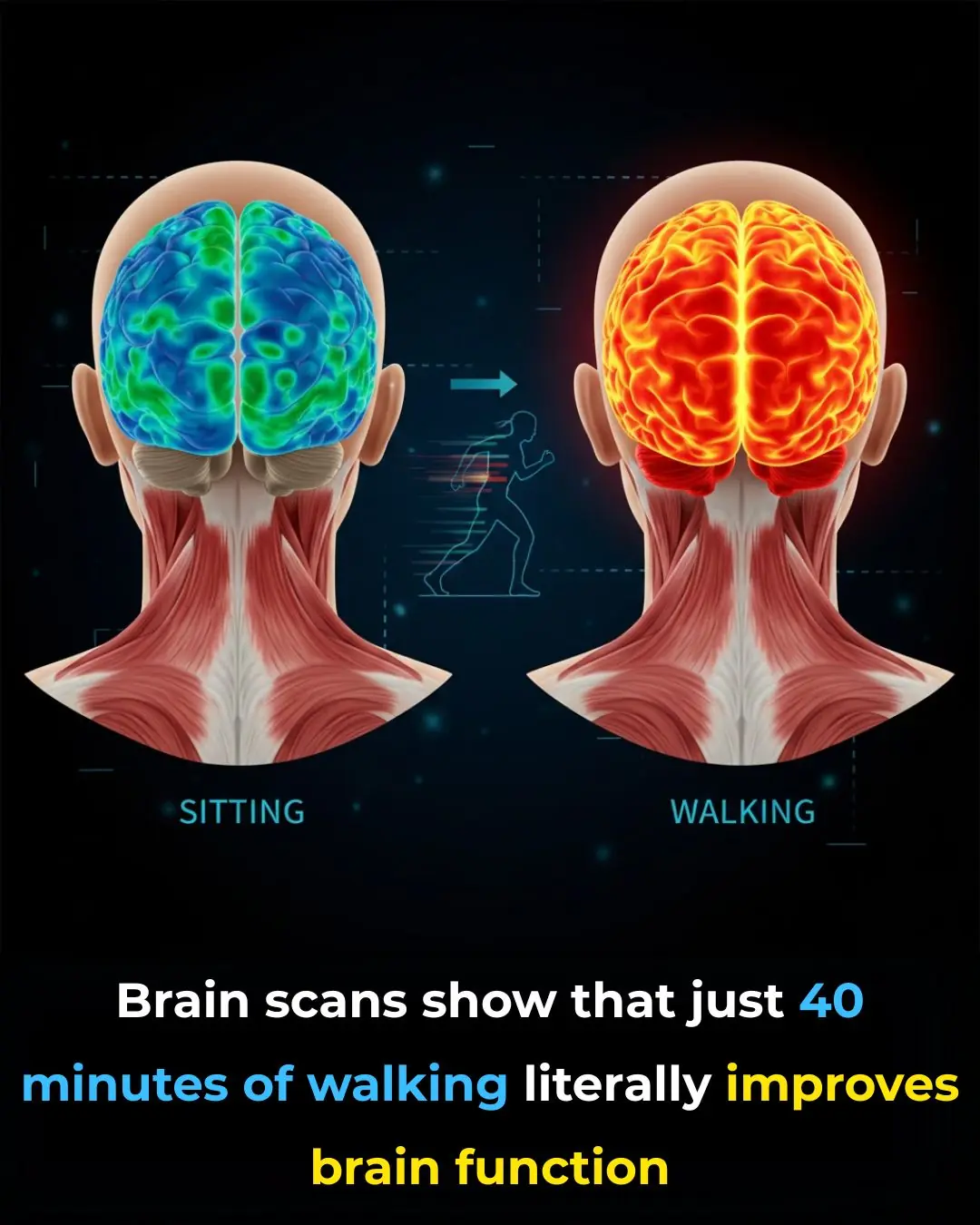 How Walking Activates the Brain: The Hidden Link Between Movement, Focus, and Mental Clarity