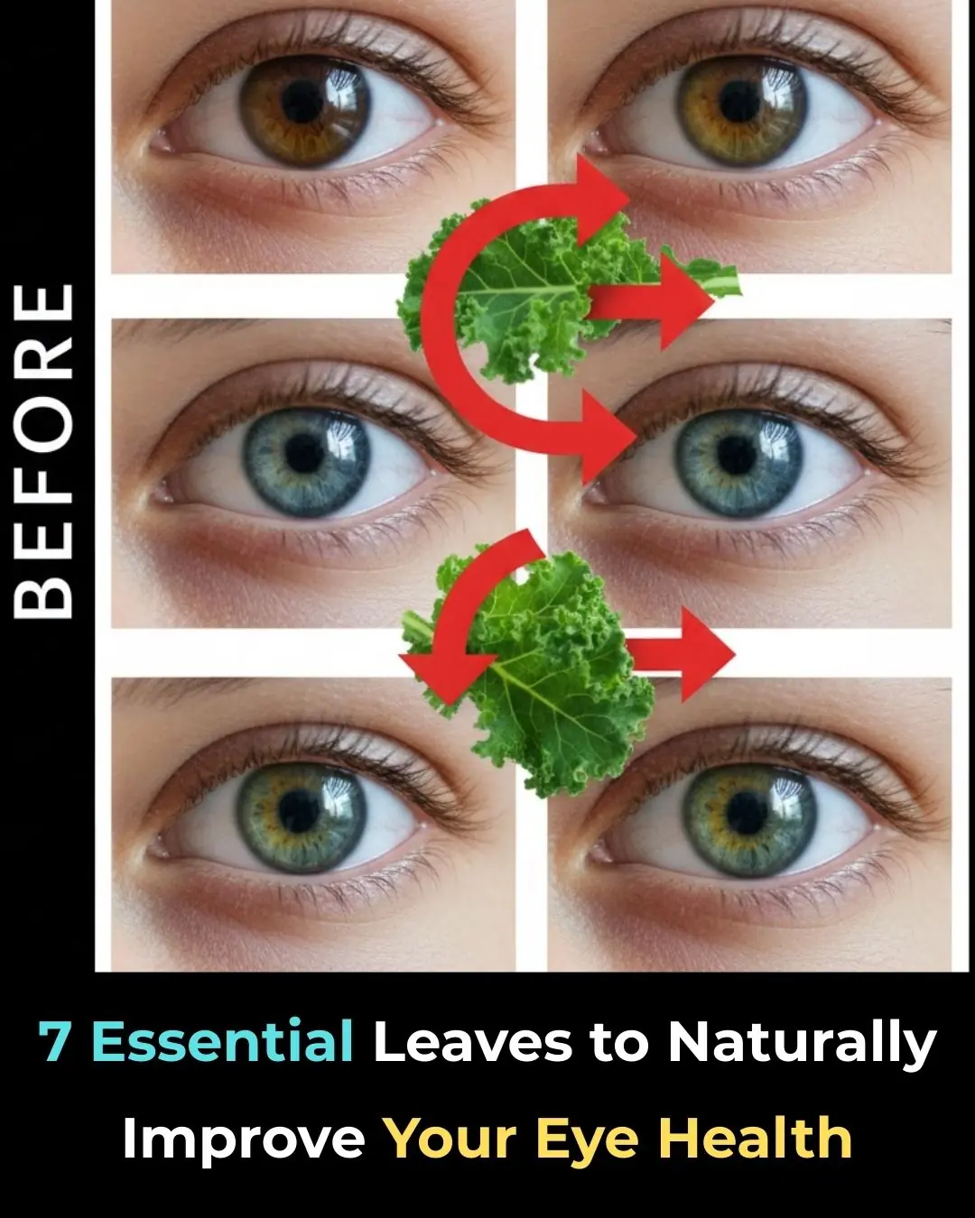 7 Essential Leaves to Naturally Improve Your Eye Health