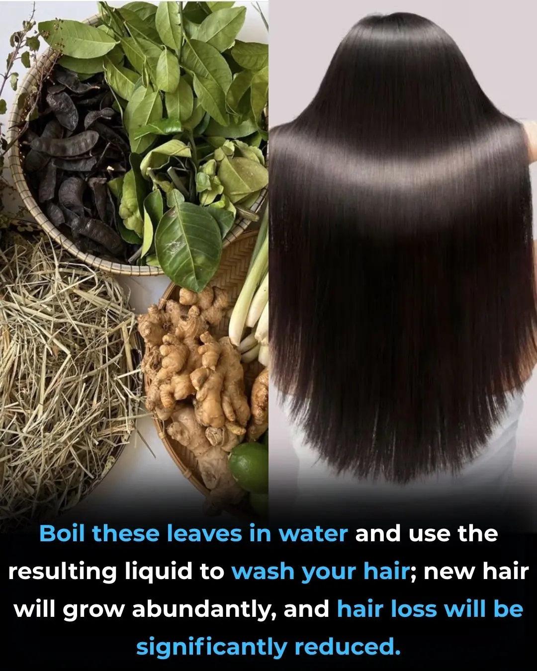 Can Herbal Hair Washes Really Reduce Hair Loss and Promote Hair Growth?