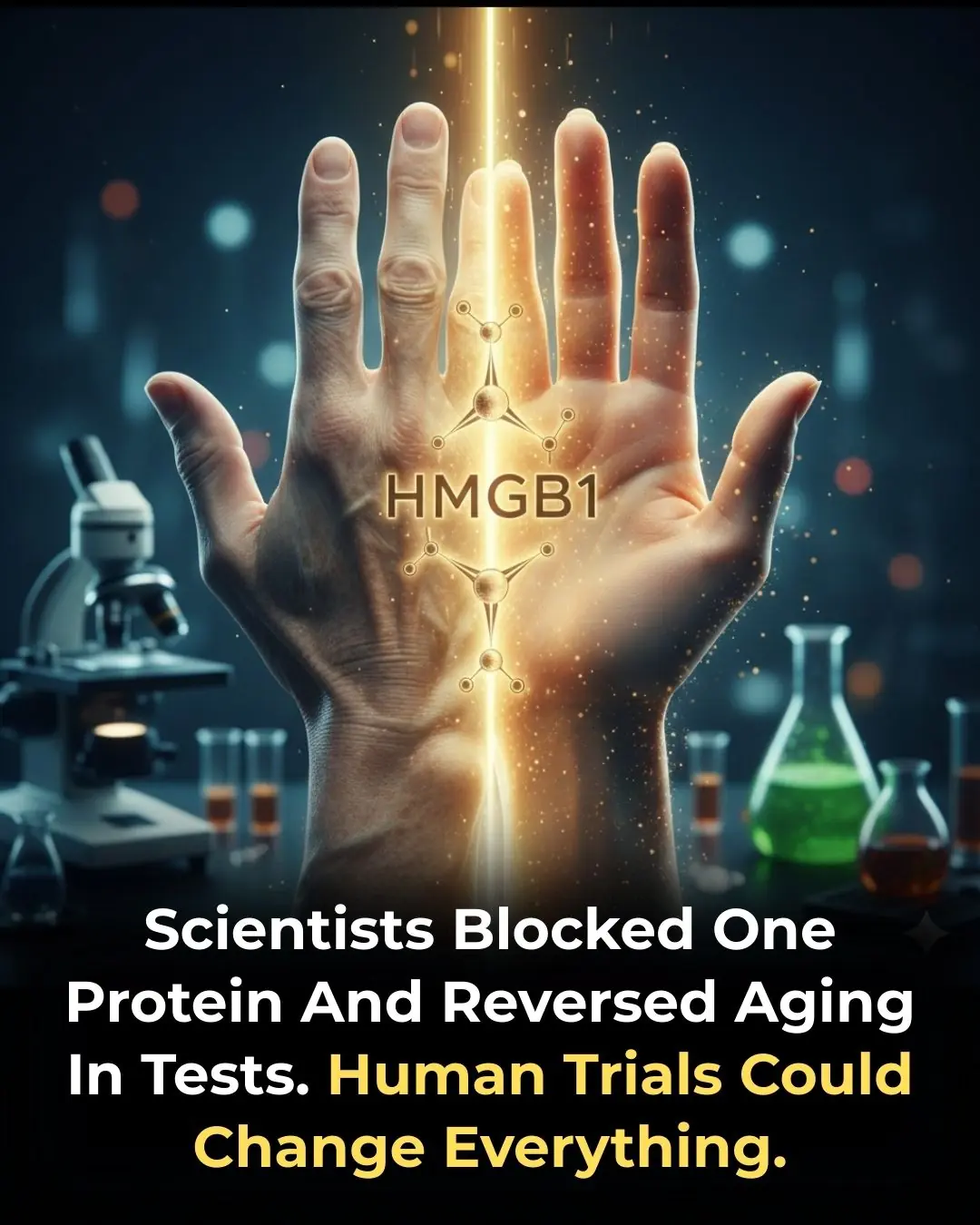 HMGB1 Identified as a Key Regulator of Aging and Tissue Regeneration
