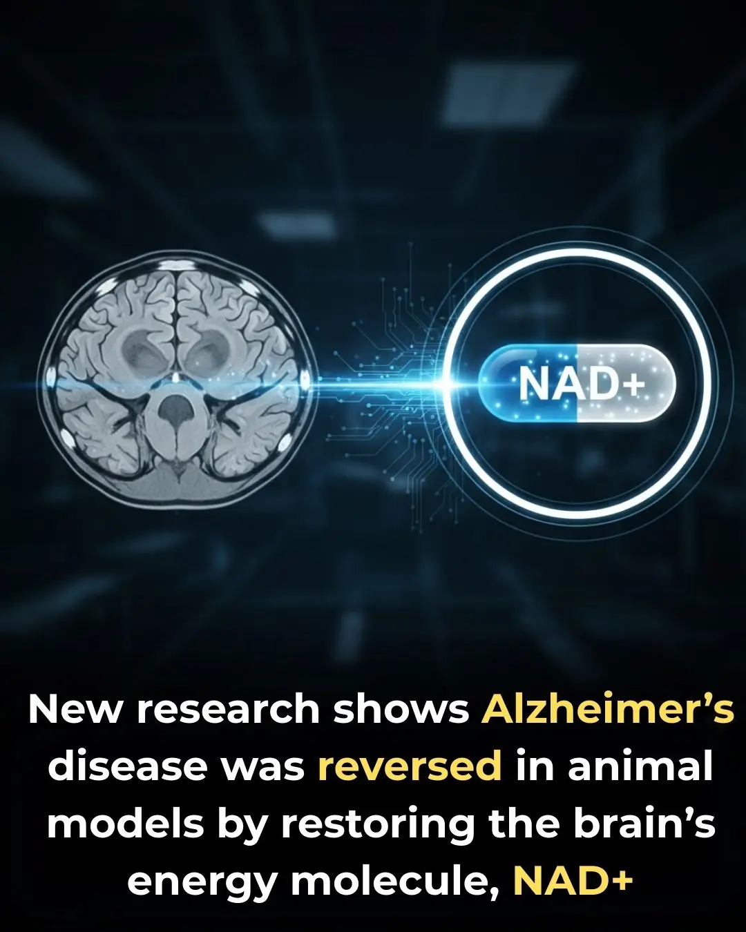 Restoring Brain Energy Reverses Advanced Alzheimer’s Pathology in Preclinical Models