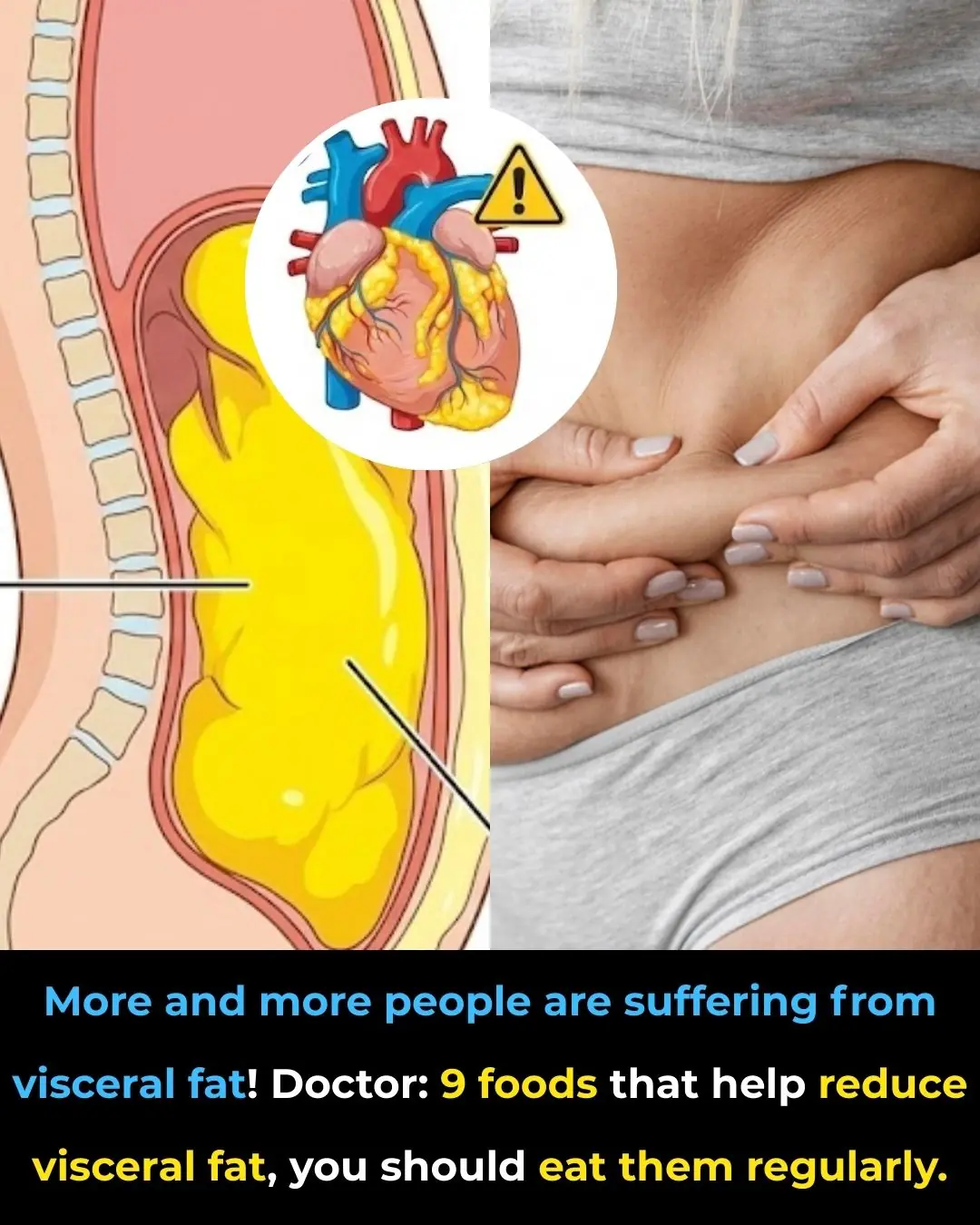 Visceral Fat Is Increasing: Doctors Recommend 9 Foods to Help Reduce It and Should Be Eaten Regularly