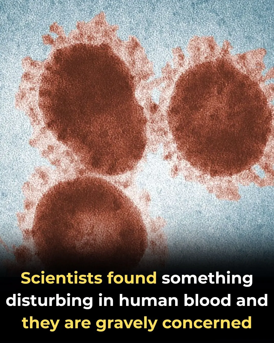Scientists Discover Alarming Substance in Human Blood, Raising Serious Concerns