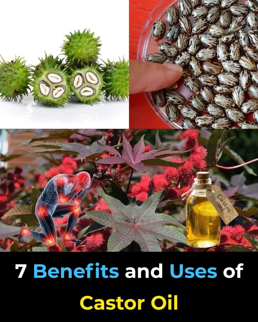 7 Benefits and Uses of Castor Oil