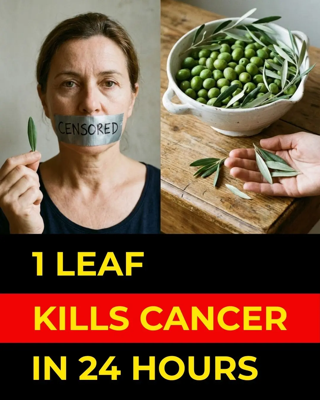 The Leaf Everyone’s Talking About: Soursop Leaves and Their Potential Wellness Benefits