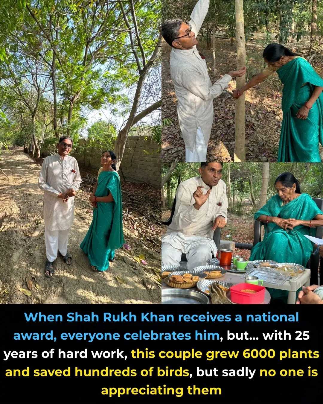 Nisarg Niketan: From Barren Wasteland to Flourishing Forest 🌿🌍✨