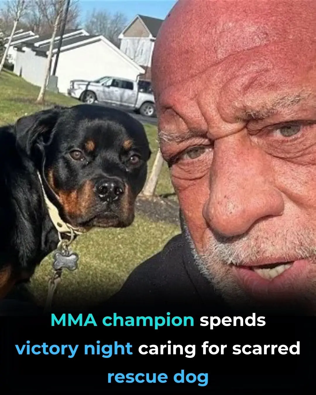 MMA Champion Chooses Compassion Over Celebration, Spending Victory Night Caring for a Scarred Rescue Dog
