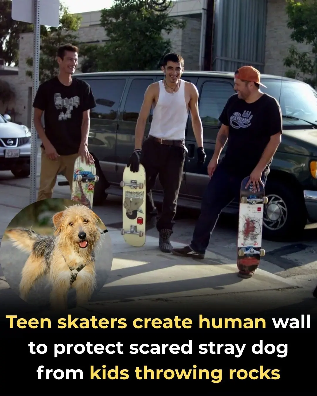 Teen Skaters Form a Human Wall to Protect a Scared Stray Dog from Being Hurt