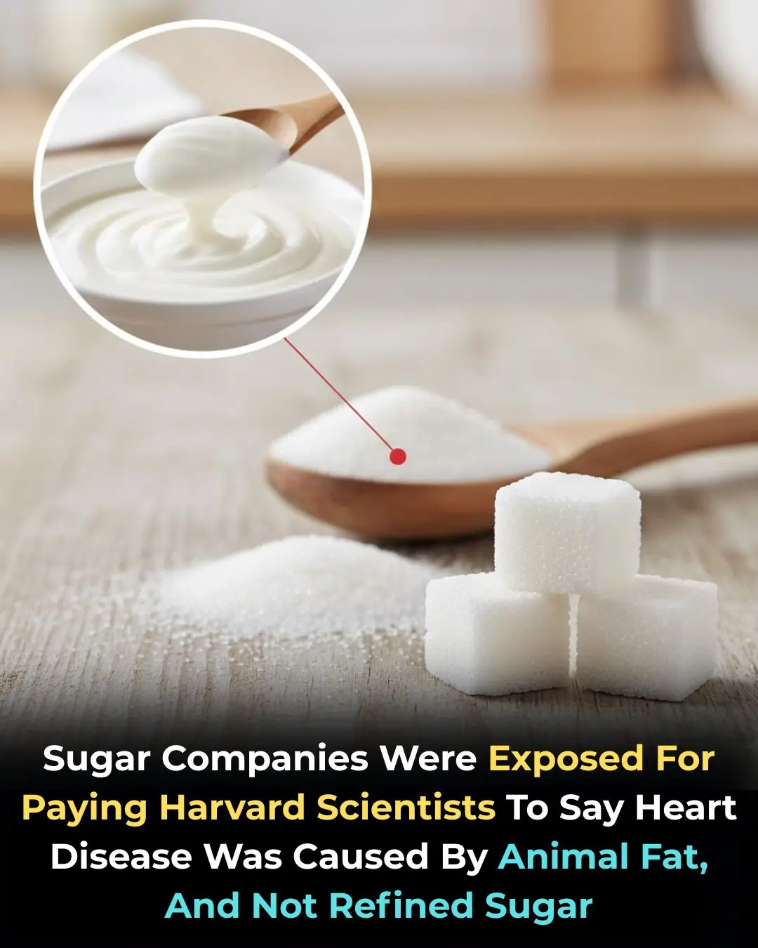 🧪 Historical Context: Sugar vs. Fat in Nutrition Science