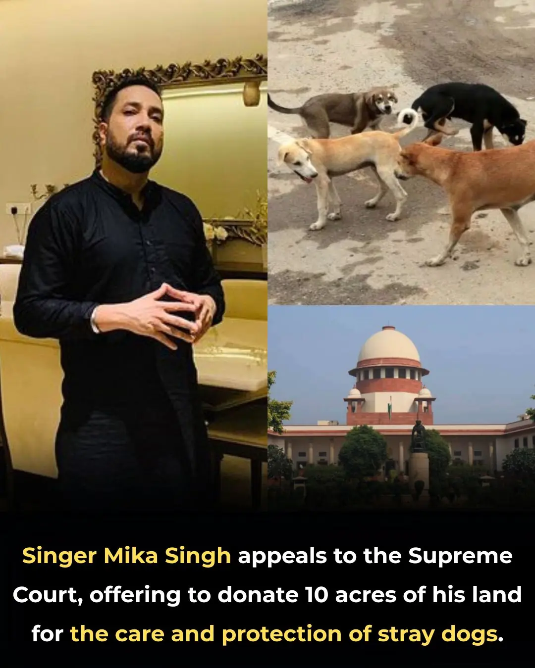 🐾 What Mika Singh Announced