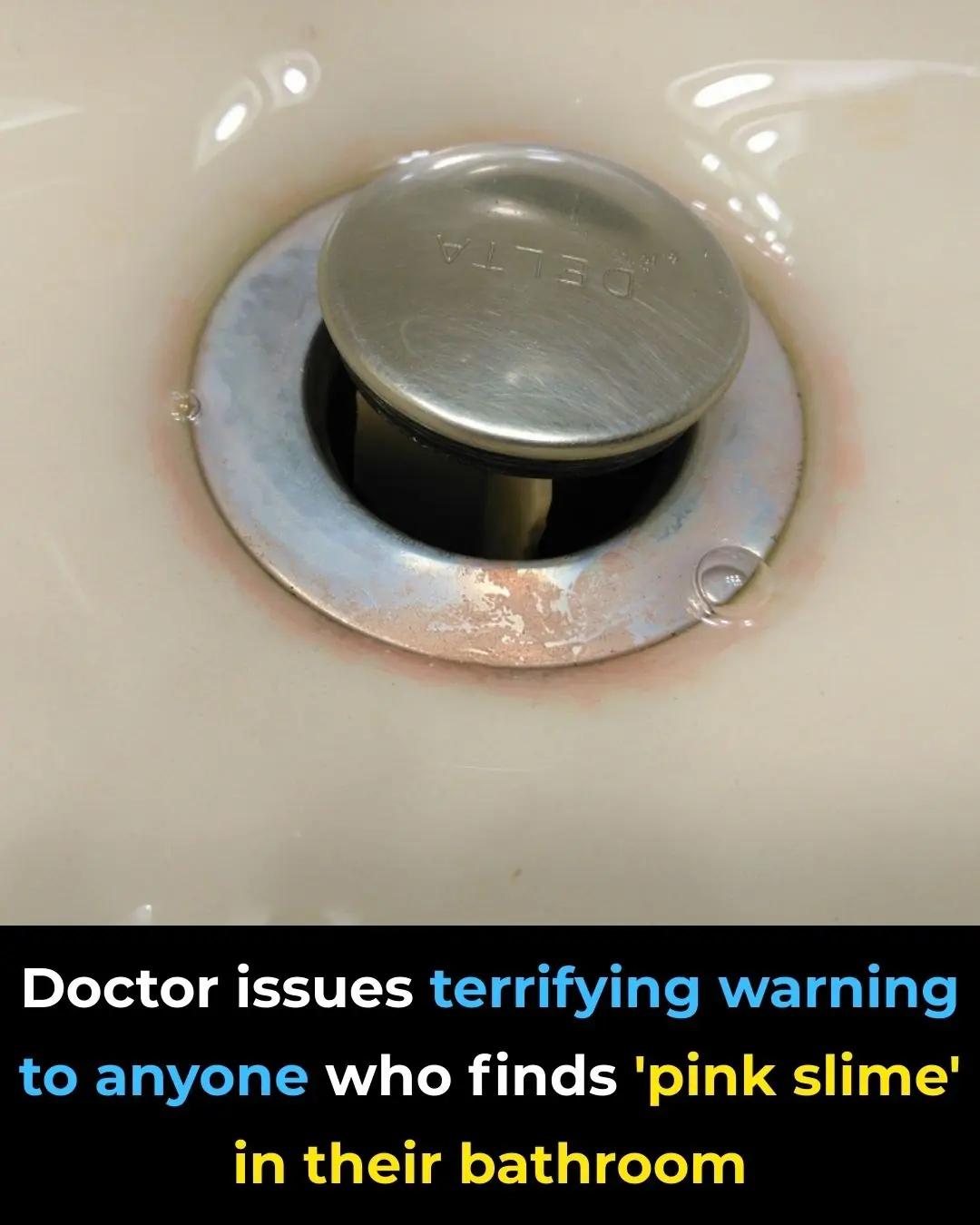 Warning For Pink Slime Found in Your Bathroom