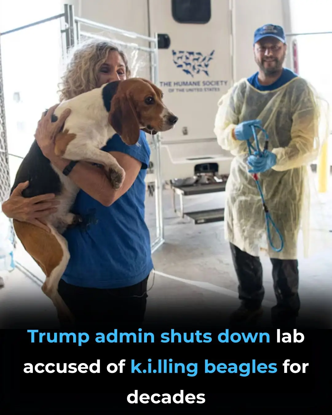 Trump Administration Closes Lab Linked to Decades of Animal Abuse in Beagle Testing