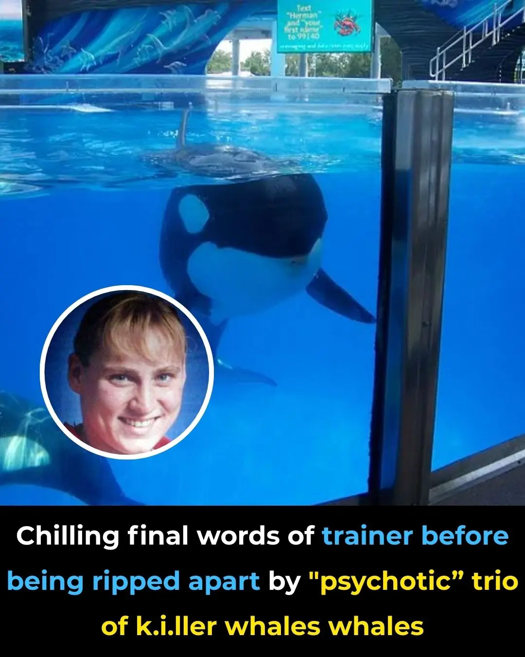 Chilling Last Words of Trainer Before Being Attacked by "Psychotic" Killer Whales