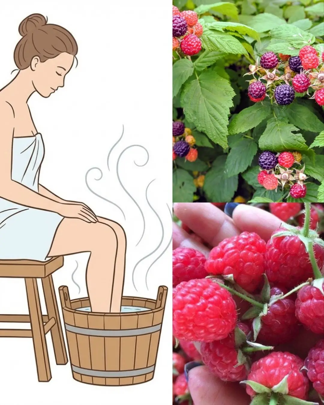 Raspberry Leaf Power: 30 Benefits and How to Use It