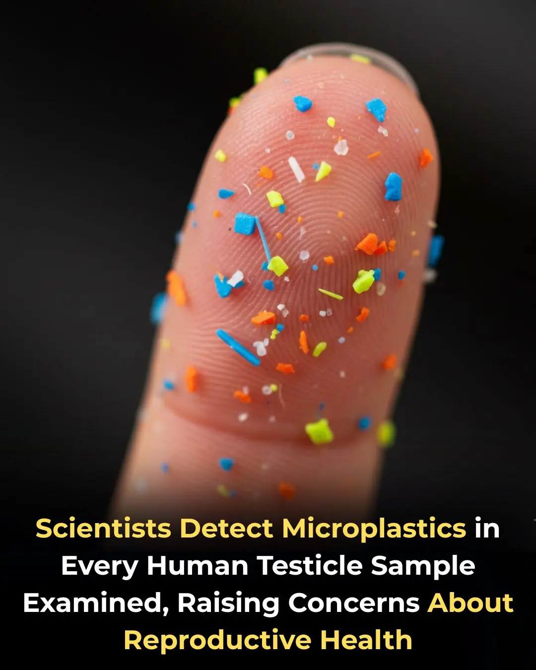 Microplastics in Human Testicles: A Wake-Up Call for Reproductive Health