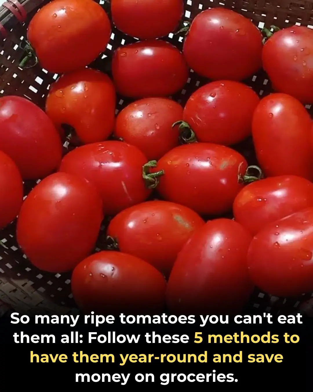 So many ripe tomatoes you can't eat them all: Follow these 5 methods to have them year-round and save money on groceries.