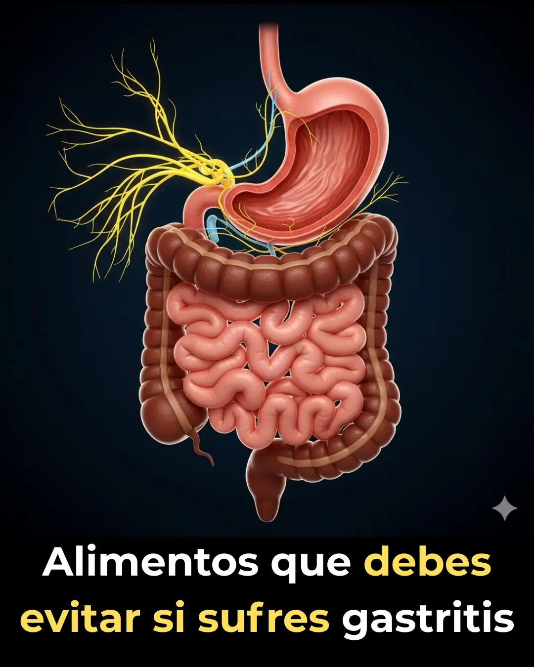 🩺 Gastritis: What It Is, Common Symptoms, Causes, and How to Care for Your Stomach