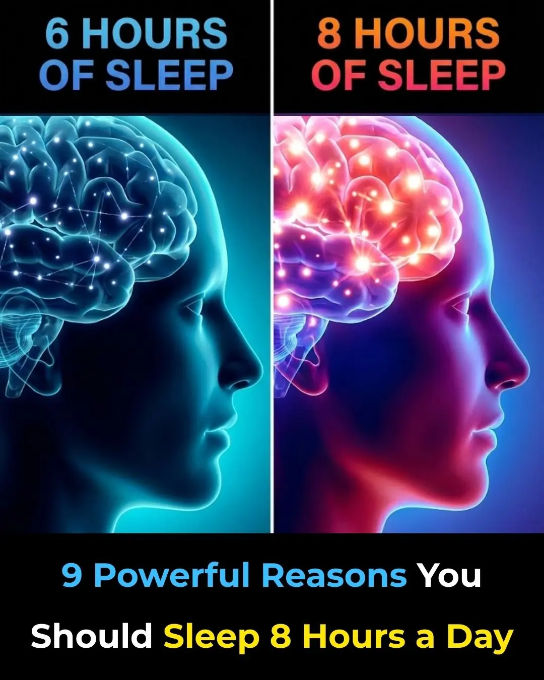 Reasons You Should Sleep 8 Hours a Day