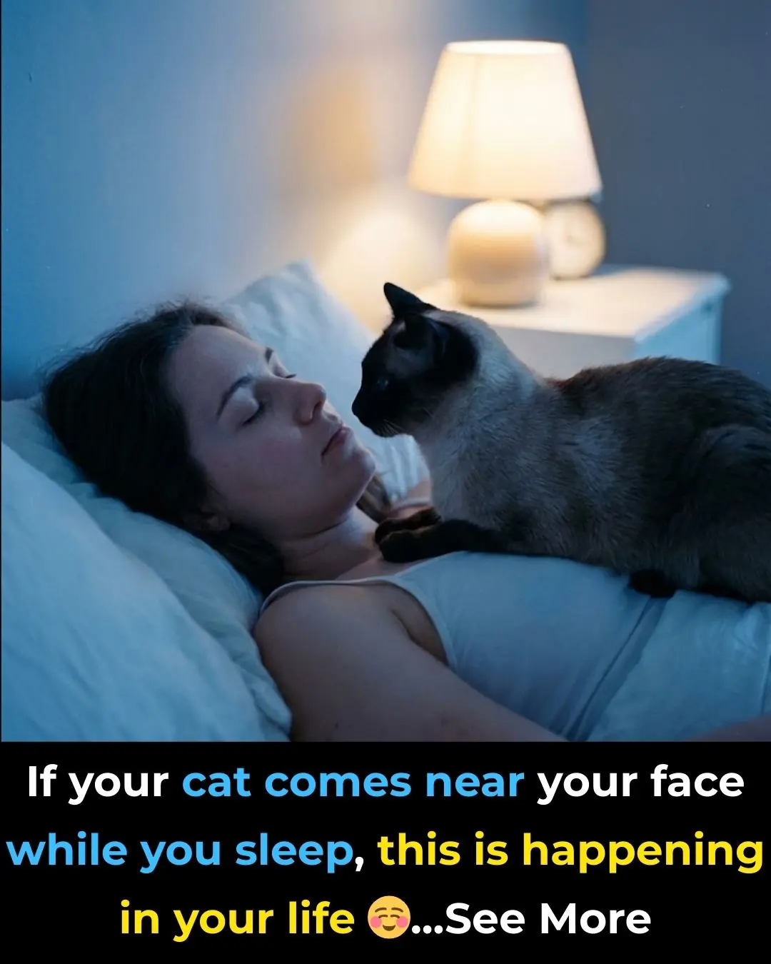 If your cat comes near your face while you sleep, this is happening in your life