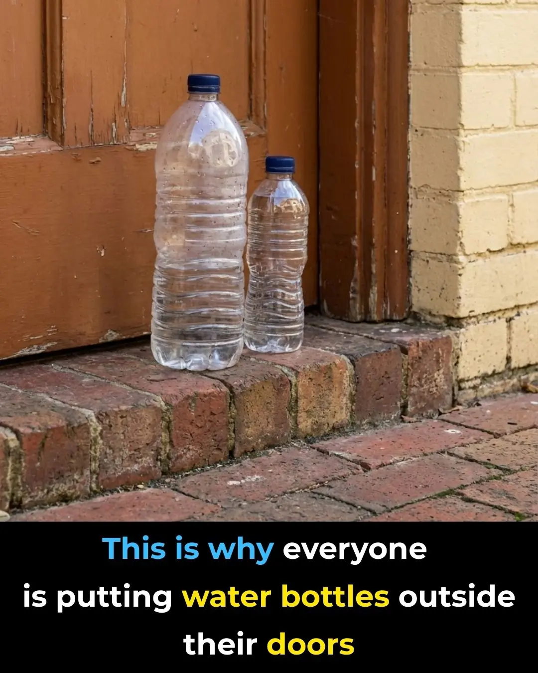 Why Some People Put Water Bottles Outside Their Homes