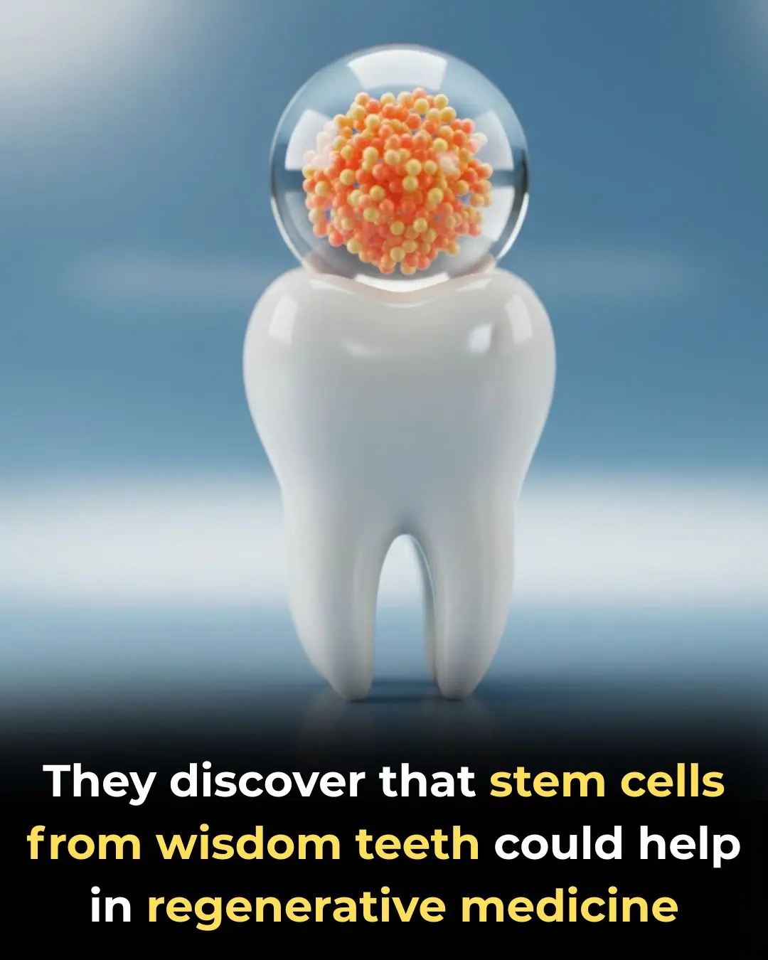 Scientists discover that stem cells from wisdom teeth could help in regenerative medicine