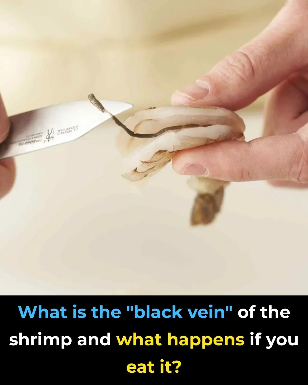 How To Prepare Shrimp and Why You Shouldn’t Eat That ‘Black Vein’