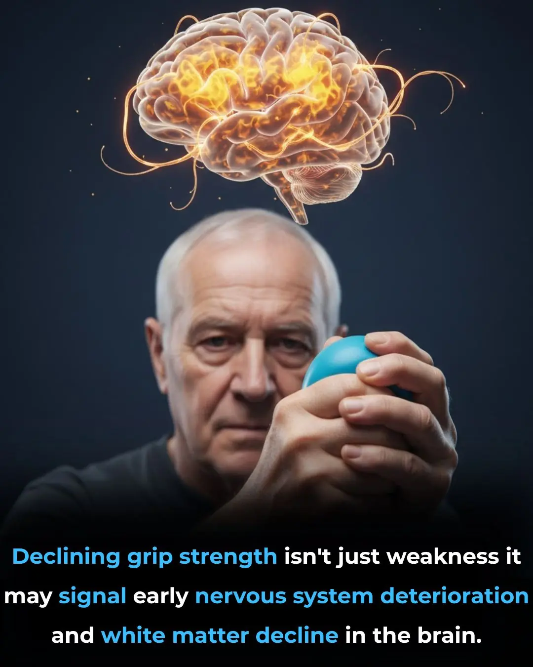 Grip Strength and Brain Health: More Than Muscle